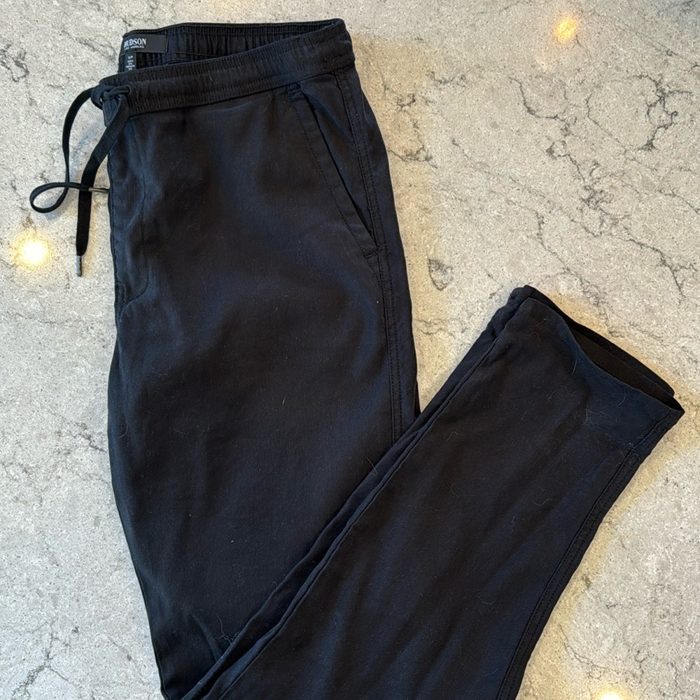 Hudson jogger/pant